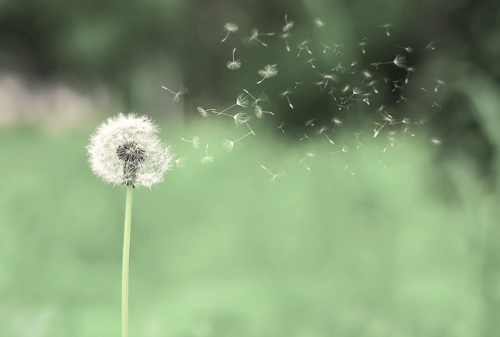 GNSIS Desarrollo profesional Sevilla formacion autonomo 038